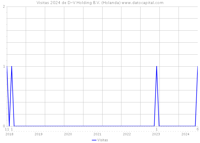 Visitas 2024 de D-V Holding B.V. (Holanda) 