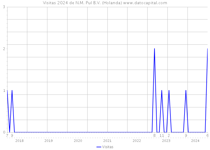 Visitas 2024 de N.M. Pul B.V. (Holanda) 