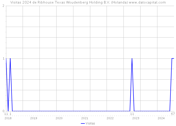 Visitas 2024 de Ribhouse Texas Woudenberg Holding B.V. (Holanda) 
