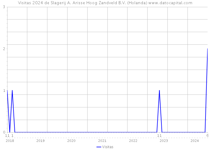 Visitas 2024 de Slagerij A. Arisse Hoog Zandveld B.V. (Holanda) 