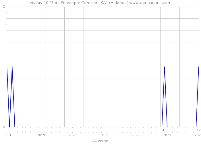 Visitas 2024 de Pineapple Concepts B.V. (Holanda) 