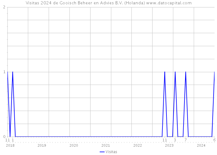 Visitas 2024 de Gooisch Beheer en Advies B.V. (Holanda) 