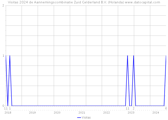 Visitas 2024 de Aannemingscombinatie Zuid Gelderland B.V. (Holanda) 