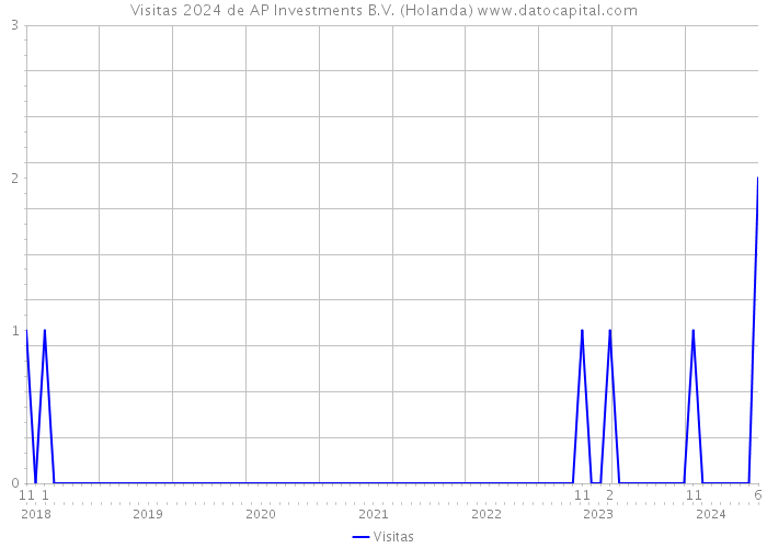 Visitas 2024 de AP Investments B.V. (Holanda) 