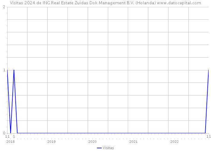 Visitas 2024 de ING Real Estate Zuidas Dok Management B.V. (Holanda) 