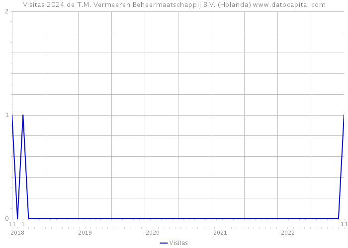 Visitas 2024 de T.M. Vermeeren Beheermaatschappij B.V. (Holanda) 