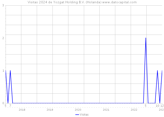Visitas 2024 de Yozgat Holding B.V. (Holanda) 