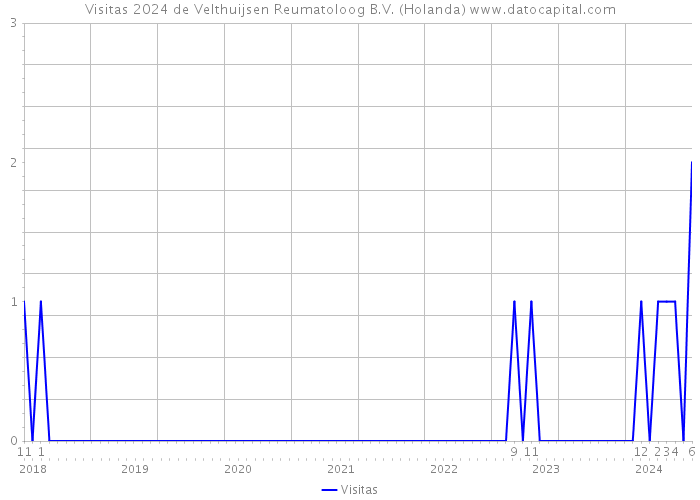 Visitas 2024 de Velthuijsen Reumatoloog B.V. (Holanda) 