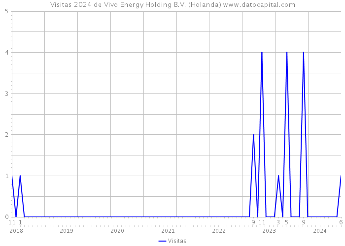 Visitas 2024 de Vivo Energy Holding B.V. (Holanda) 