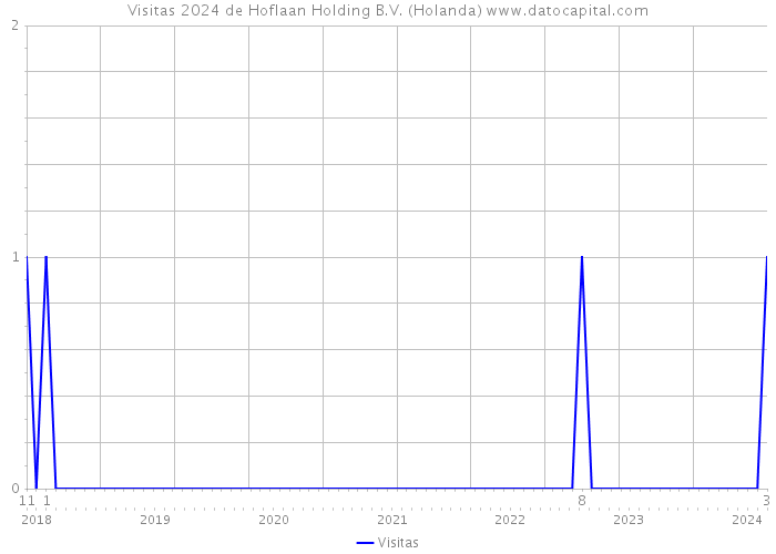 Visitas 2024 de Hoflaan Holding B.V. (Holanda) 