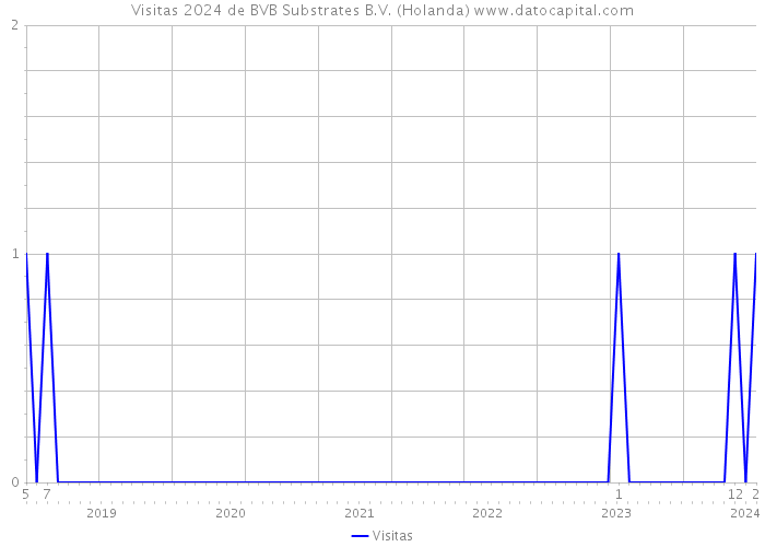 Visitas 2024 de BVB Substrates B.V. (Holanda) 