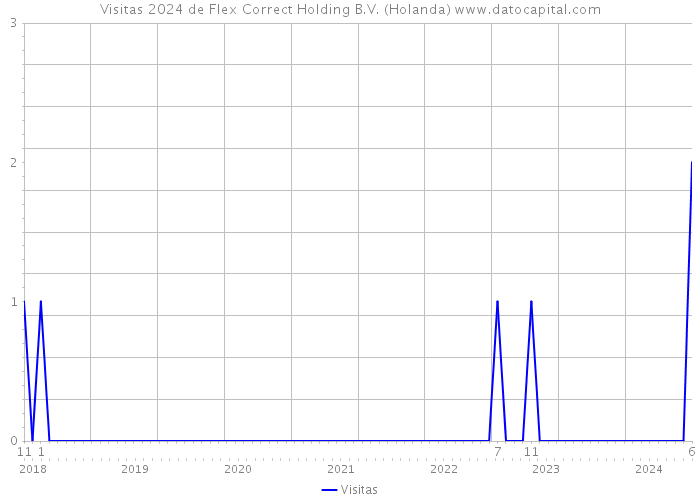 Visitas 2024 de Flex Correct Holding B.V. (Holanda) 