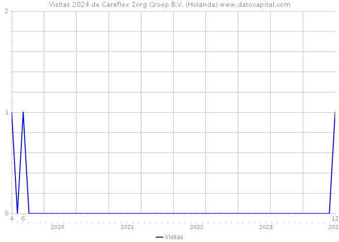 Visitas 2024 de Careflex Zorg Groep B.V. (Holanda) 