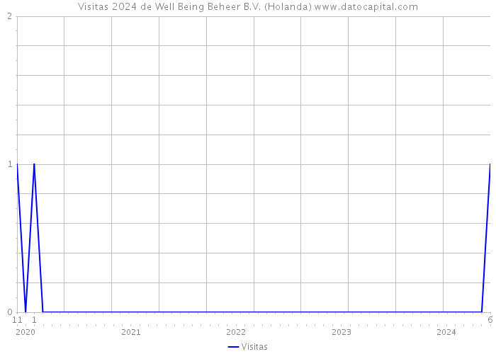 Visitas 2024 de Well Being Beheer B.V. (Holanda) 