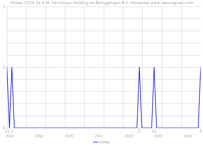 Visitas 2024 de A.M. Verschuur Holding en Beleggingen B.V. (Holanda) 