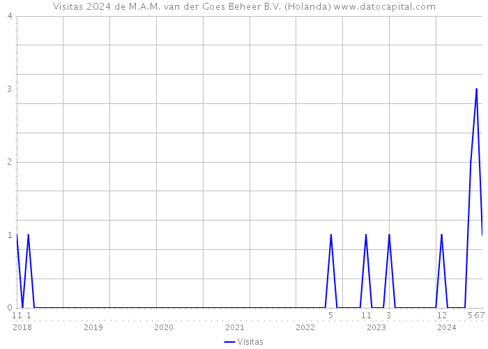 Visitas 2024 de M.A.M. van der Goes Beheer B.V. (Holanda) 