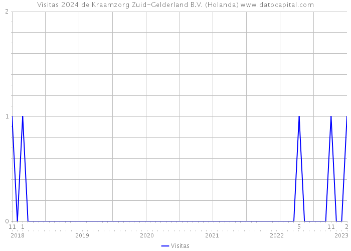 Visitas 2024 de Kraamzorg Zuid-Gelderland B.V. (Holanda) 