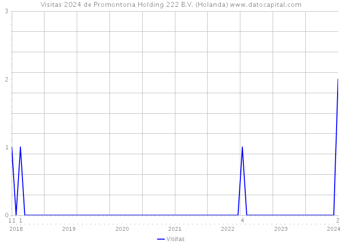 Visitas 2024 de Promontoria Holding 222 B.V. (Holanda) 