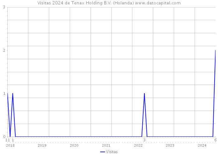 Visitas 2024 de Tenax Holding B.V. (Holanda) 