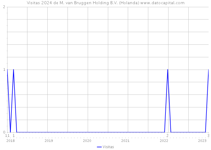 Visitas 2024 de M. van Bruggen Holding B.V. (Holanda) 