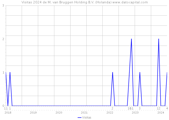Visitas 2024 de M. van Bruggen Holding B.V. (Holanda) 