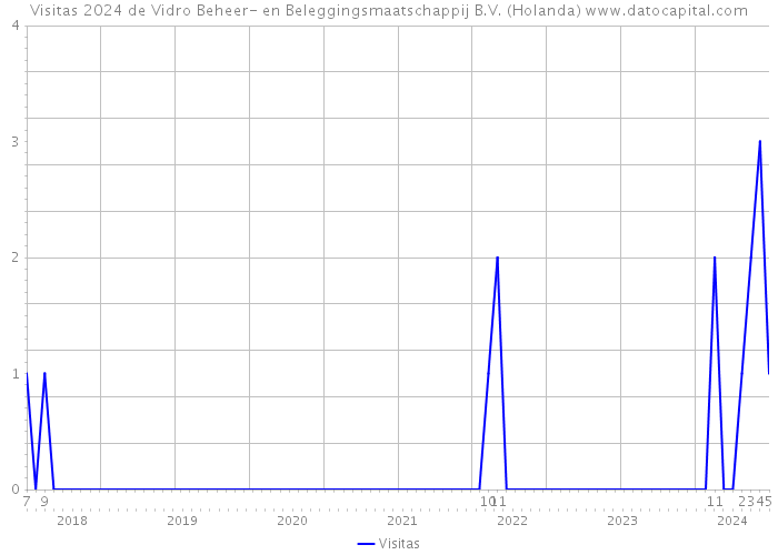 Visitas 2024 de Vidro Beheer- en Beleggingsmaatschappij B.V. (Holanda) 
