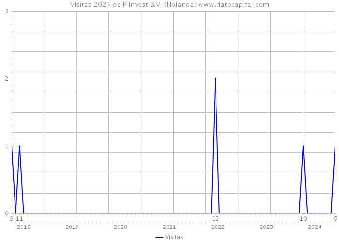 Visitas 2024 de P Invest B.V. (Holanda) 