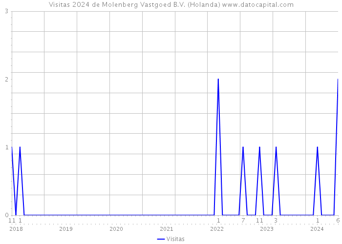Visitas 2024 de Molenberg Vastgoed B.V. (Holanda) 