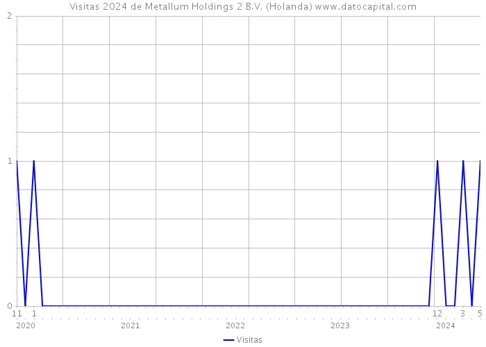 Visitas 2024 de Metallum Holdings 2 B.V. (Holanda) 