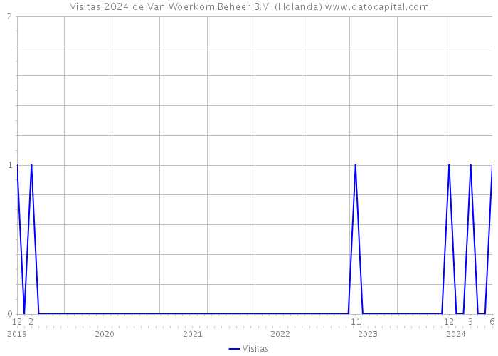 Visitas 2024 de Van Woerkom Beheer B.V. (Holanda) 