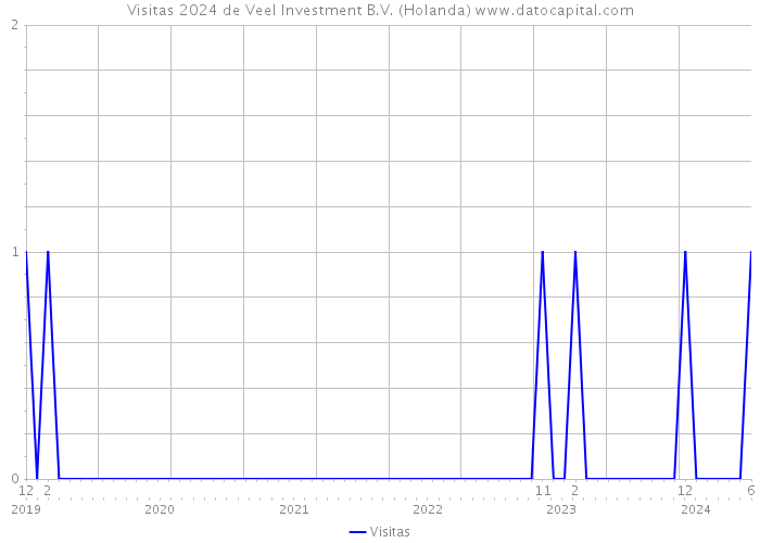 Visitas 2024 de Veel Investment B.V. (Holanda) 