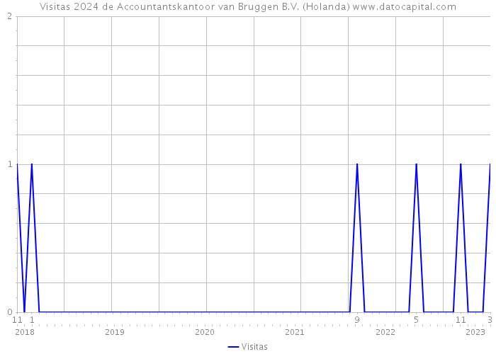 Visitas 2024 de Accountantskantoor van Bruggen B.V. (Holanda) 