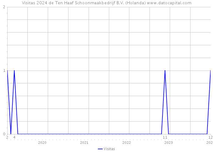 Visitas 2024 de Ten Haaf Schoonmaakbedrijf B.V. (Holanda) 