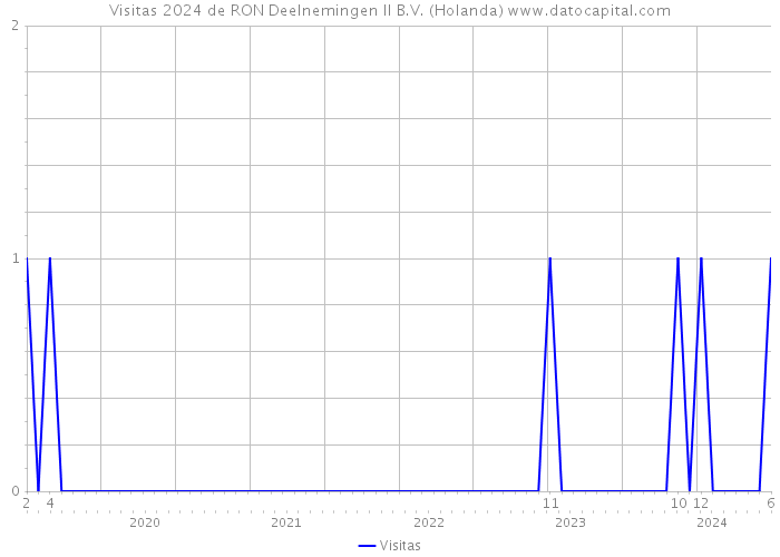 Visitas 2024 de RON Deelnemingen II B.V. (Holanda) 