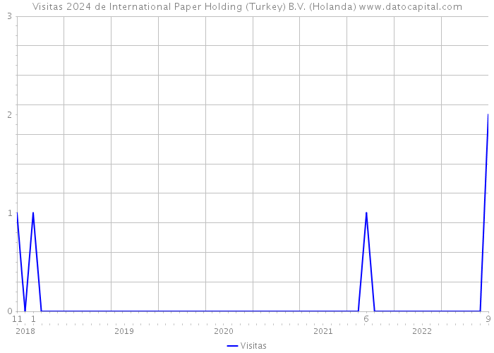 Visitas 2024 de International Paper Holding (Turkey) B.V. (Holanda) 