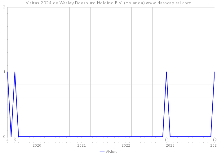 Visitas 2024 de Wesley Doesburg Holding B.V. (Holanda) 