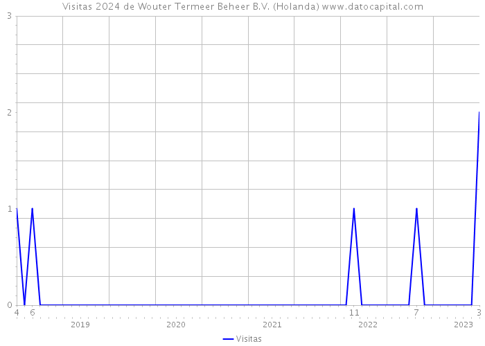Visitas 2024 de Wouter Termeer Beheer B.V. (Holanda) 