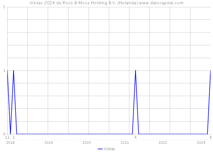 Visitas 2024 de Roos & Moos Holding B.V. (Holanda) 