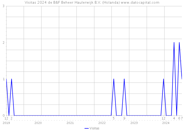 Visitas 2024 de B&F Beheer Haulerwijk B.V. (Holanda) 