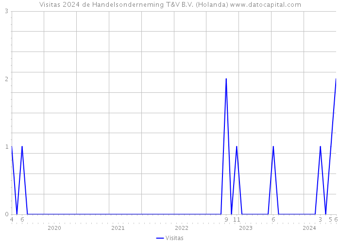 Visitas 2024 de Handelsonderneming T&V B.V. (Holanda) 