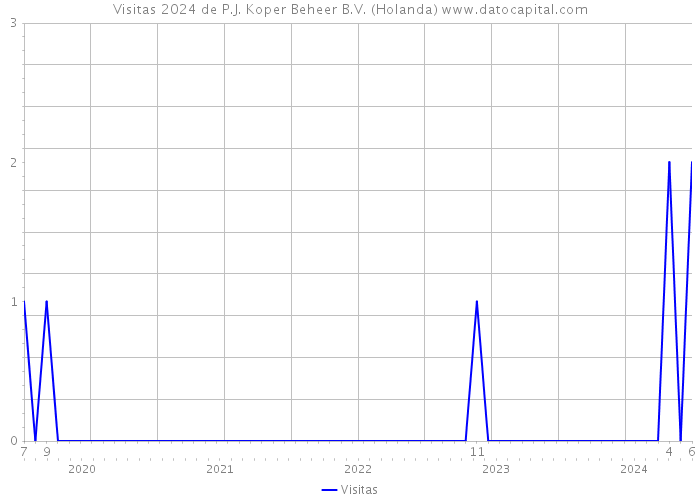 Visitas 2024 de P.J. Koper Beheer B.V. (Holanda) 