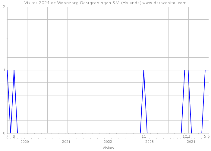 Visitas 2024 de Woonzorg Oostgroningen B.V. (Holanda) 