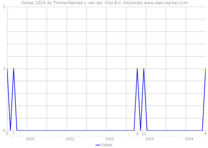 Visitas 2024 de Timmerfabriek J. van der Vliet B.V. (Holanda) 