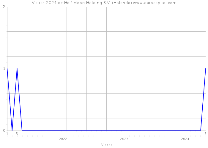 Visitas 2024 de Half Moon Holding B.V. (Holanda) 