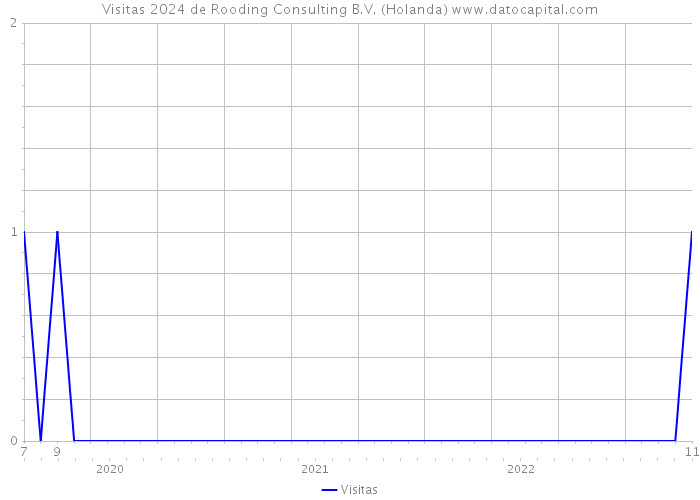 Visitas 2024 de Rooding Consulting B.V. (Holanda) 