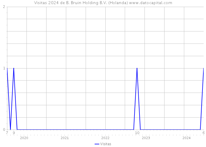 Visitas 2024 de B. Bruin Holding B.V. (Holanda) 