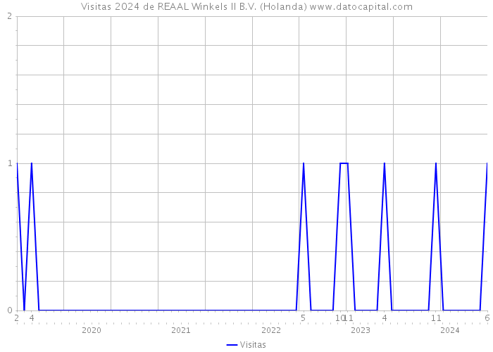 Visitas 2024 de REAAL Winkels II B.V. (Holanda) 