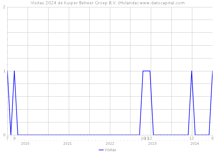 Visitas 2024 de Kuiper Beheer Groep B.V. (Holanda) 