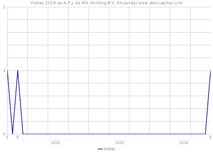 Visitas 2024 de A.P.J. de Mik Holding B.V. (Holanda) 