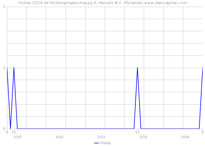 Visitas 2024 de Holdingmaatschappij A. Hessels B.V. (Holanda) 